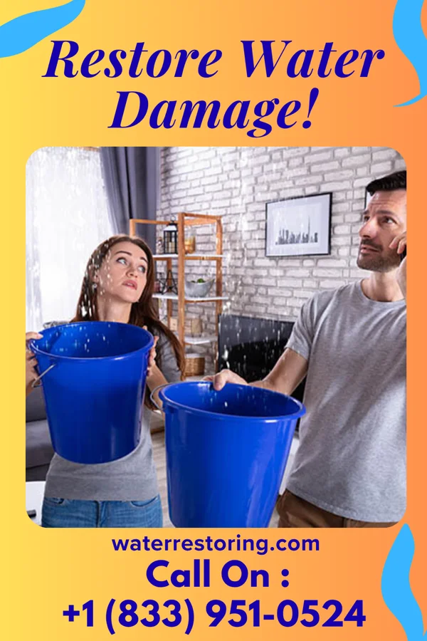 water restoration Ace Damage Recovery Network Mulberry