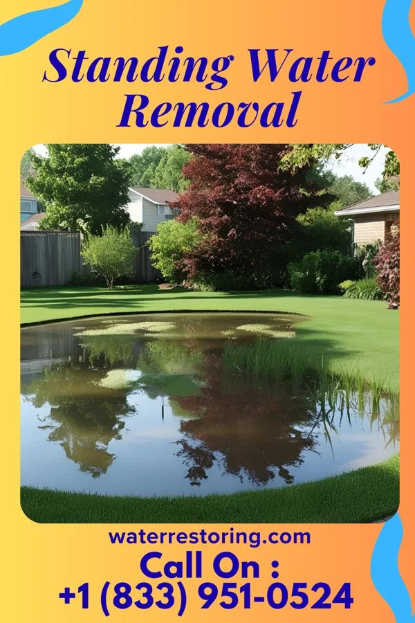 Standing Water Removal in Mulberry, NC